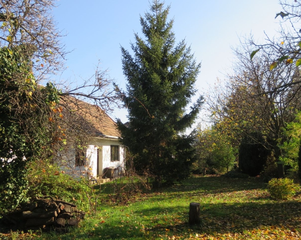 STARŠÍ DOM S VÝNIMOČNÝM POZEMKOM 1768 M2, NOVÉ MESTO N/V
